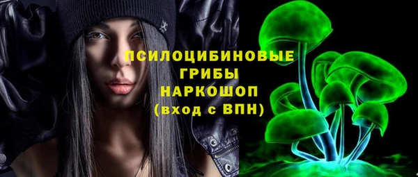 гидра Новодвинск