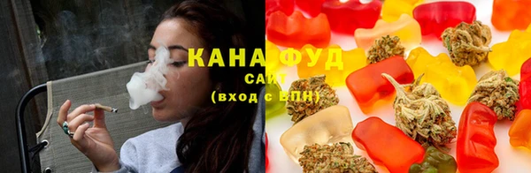 гидра Новодвинск
