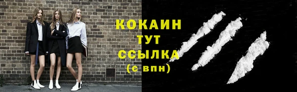 гидра Новодвинск