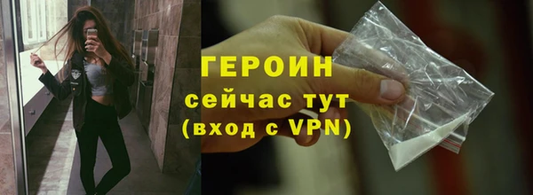 гидра Новодвинск