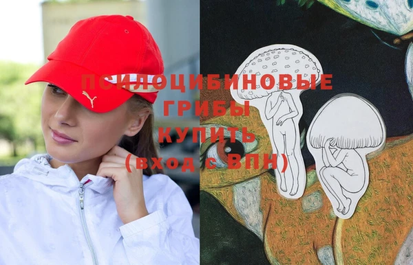 скорость Новозыбков