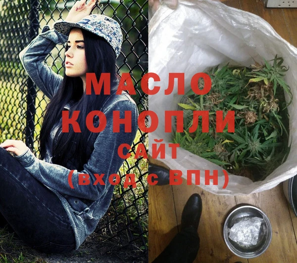 гидра Новодвинск