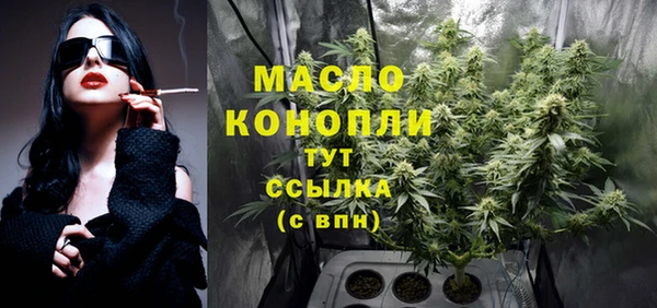 скорость Новозыбков