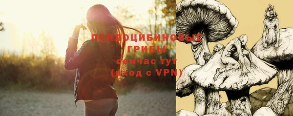 гидра Новодвинск