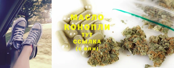 гидра Новодвинск