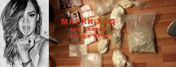 гидра Новодвинск