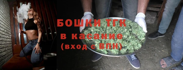 гидра Новодвинск